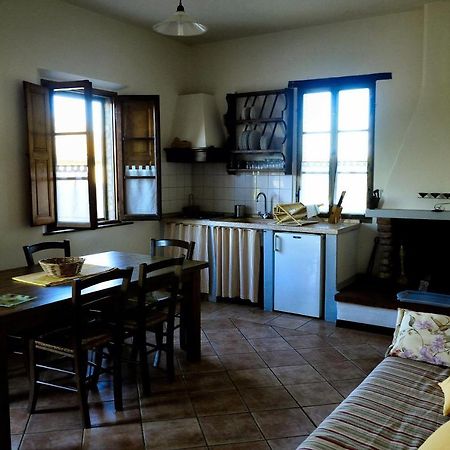 Agriturismo Il Sole Verde Bucine Dış mekan fotoğraf