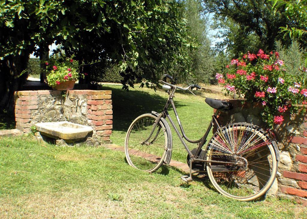 Agriturismo Il Sole Verde Bucine Dış mekan fotoğraf