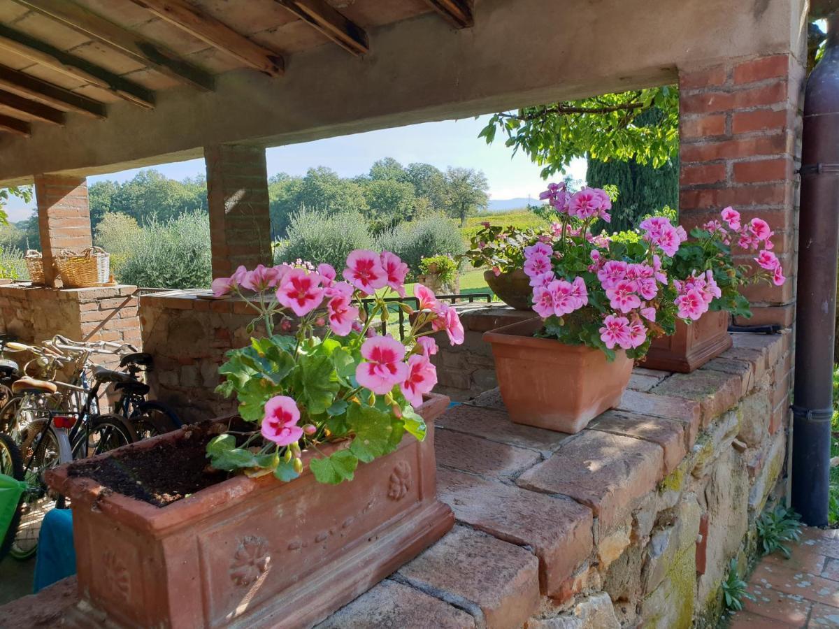 Agriturismo Il Sole Verde Bucine Dış mekan fotoğraf