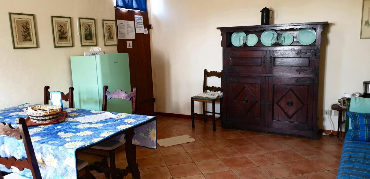 Agriturismo Il Sole Verde Bucine Dış mekan fotoğraf