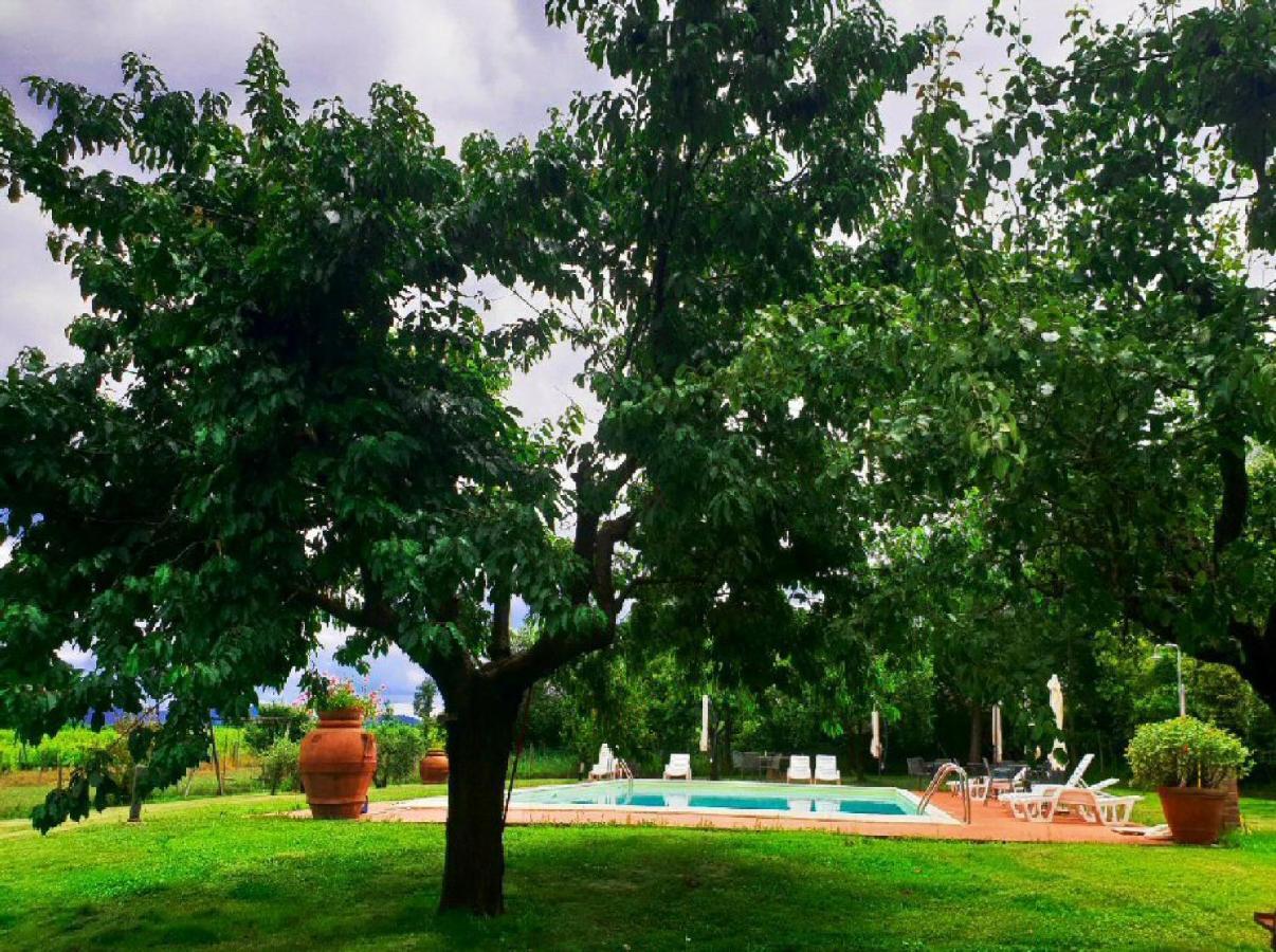 Agriturismo Il Sole Verde Bucine Dış mekan fotoğraf